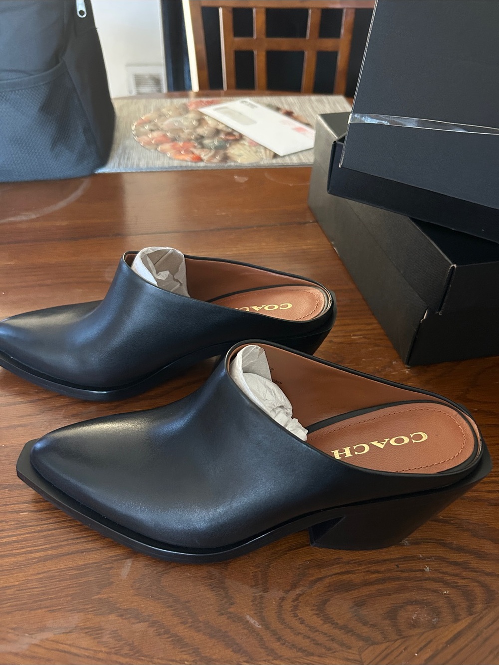 COACH Black Leather Slip-On Mules with Low Block Heel